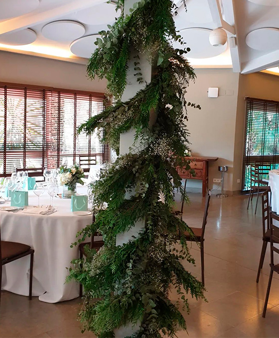 Plantas de Decoración en Alicante